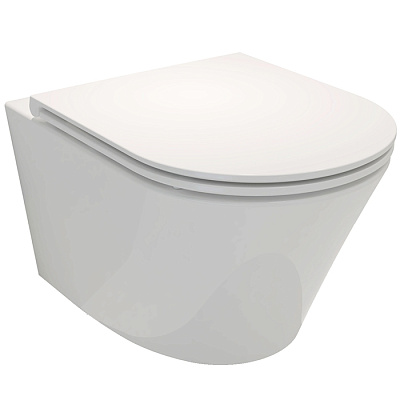 Унитаз подвесной 520х355, белый, Jacob Delafon Rodin+ EDY102-00