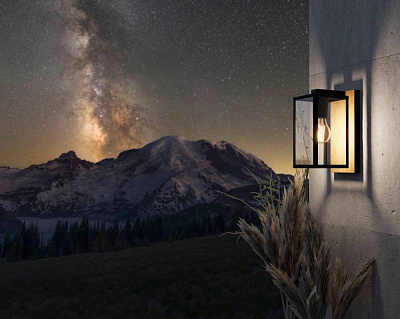 Светильник Budrone: настенный, уличный, E27, Eglo 900289