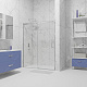 Душевая дверь для ниши 1700 мм, RGW TO-14 02071417-11