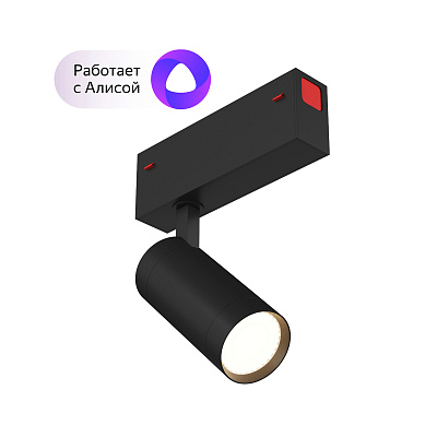 Трековый светильник Denkirs DK8010-BK